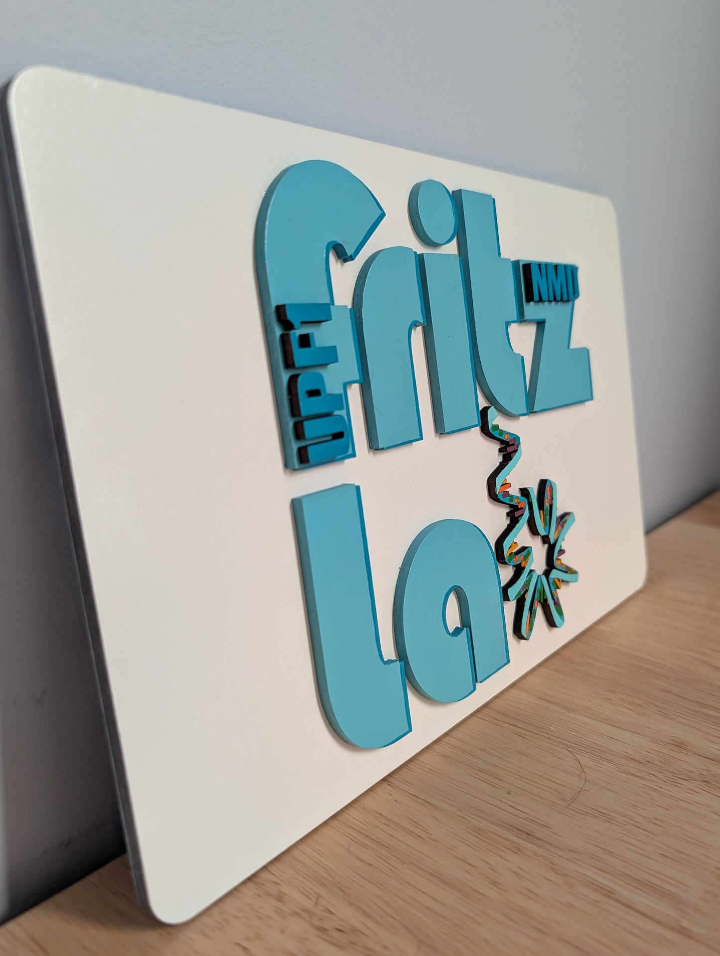 Custom Order - Fritz Lab signs